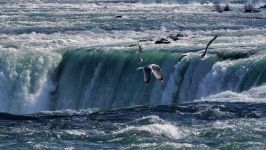 Niagara Falls