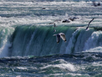 In March 2016 I visited Niagara Falls for one day and was impressed by their appearance. Not so much impressed I was by the city itself, which more looked like an outdoor casino.